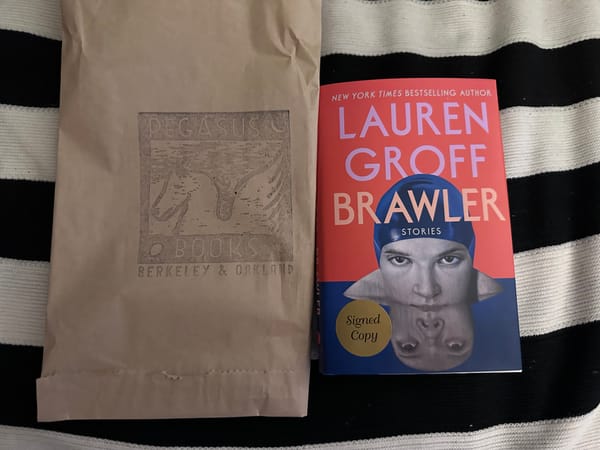 A paper bag with a printed “pegasus books” logo next to a hard back signed copy of Lauren Groff Brawler on a black & white striped blanket.
